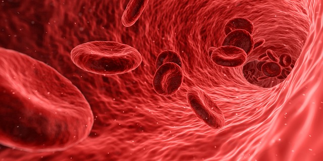Анализ крови при эозинофильном лейкозе thumbnail